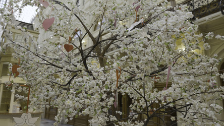 Similar image 22407253