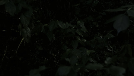 Similar image 22407343