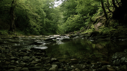 Similar image 22407896