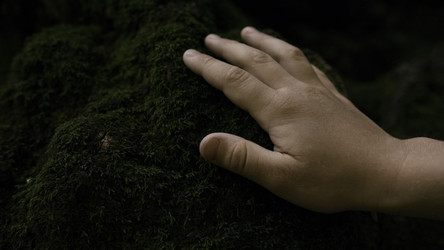 Similar image 22408107