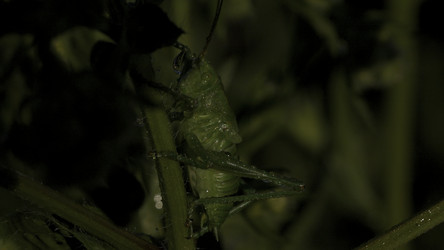 Similar image 22408138