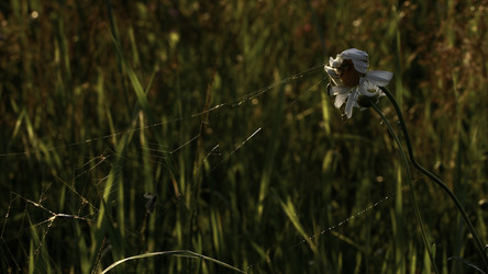 Similar image 22408180