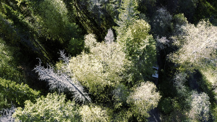 Similar image 22410056