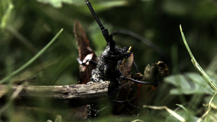 Similar image 22400892