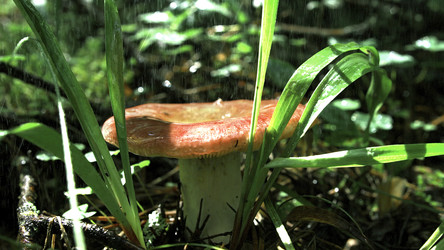 Similar image 22400951