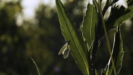 Similar image 22405618