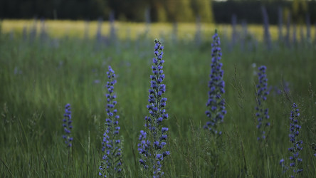 Similar image 22405619