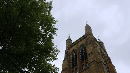 Similar image 22407628