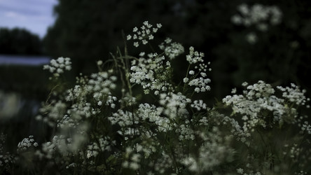 Similar image 22407686