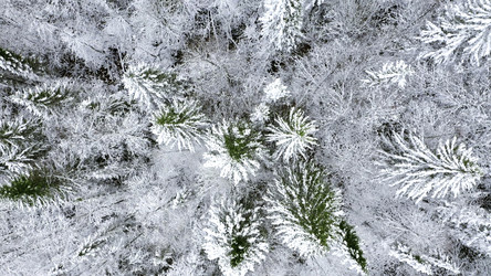 Similar image 22407716