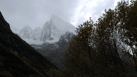 Similar image 22407733