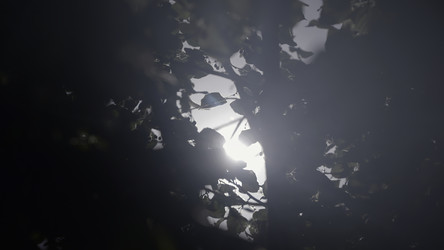 Similar image 22407791