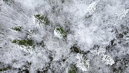 Similar image 22407822