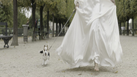 Similar image 22400952