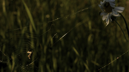 Similar image 22400995