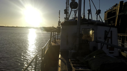 Similar image 22401024