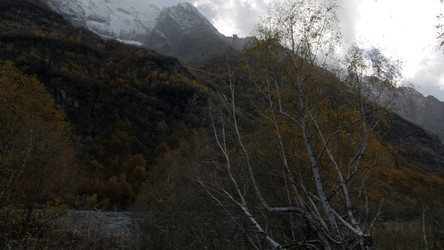 Similar image 22401070