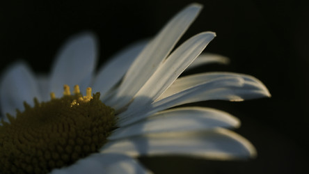 Similar image 22401174