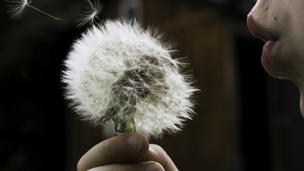 Similar image 22401175