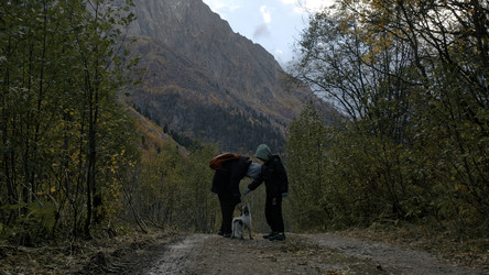 Similar image 22401258