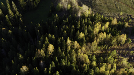 Similar image 22402533