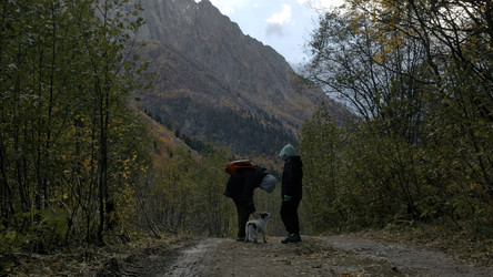 Similar image 22405560