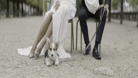 Similar image 22405605