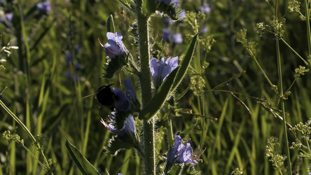 Similar image 22405635