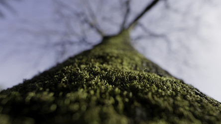 Similar image 22405725