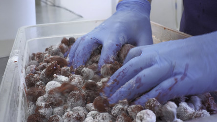 Similar image 22406369