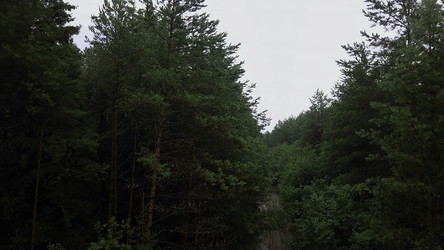 Similar image 22406504