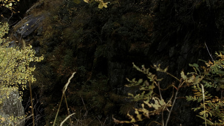 Similar image 22406534