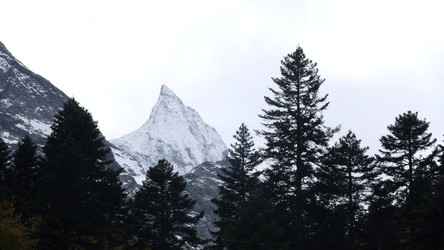 Similar image 22406744