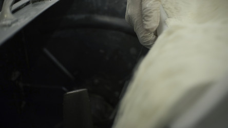 Similar image 22406804