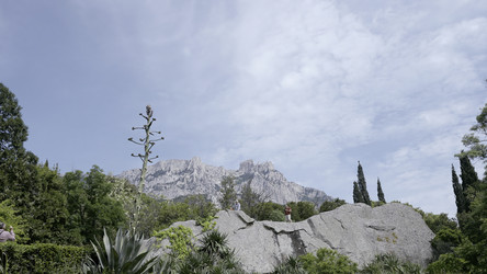 Similar image 22406834