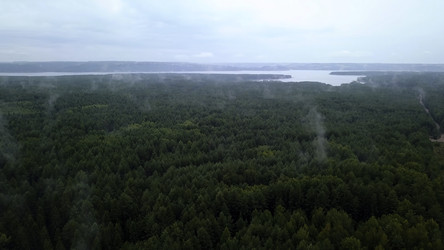 Similar image 22406909