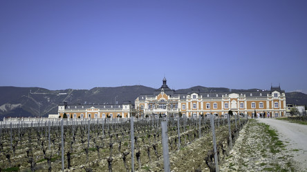 Similar image 22407089