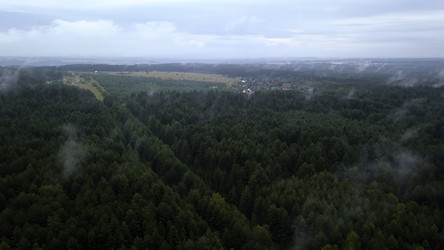 Similar image 22407119