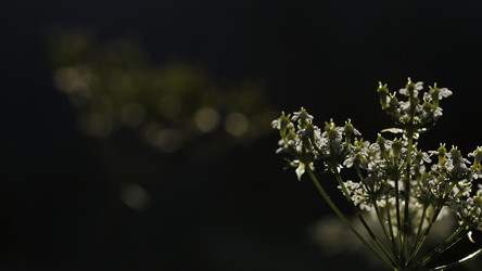 Similar image 22407269