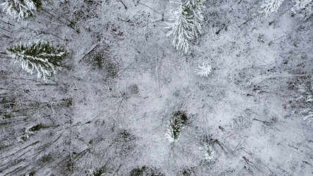 Similar image 22407344