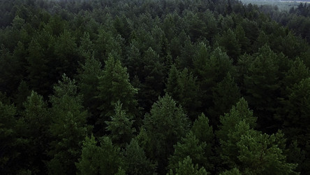 Similar image 22407359