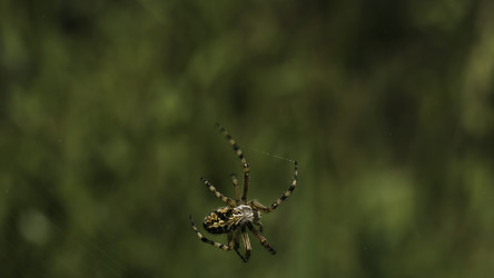 Similar image 22407494