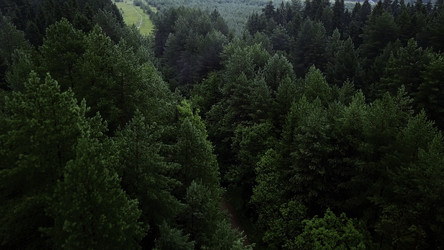 Similar image 22407584