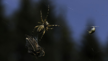 Similar image 22407659