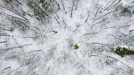 Similar image 22407689