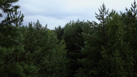 Similar image 22407704