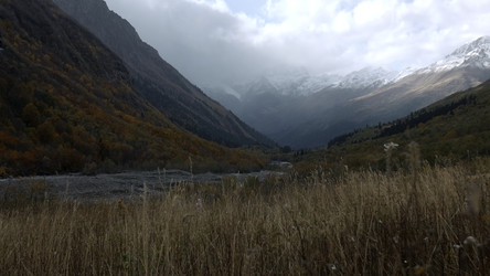 Similar image 22407718