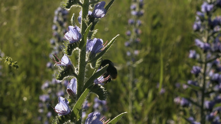 Similar image 22407764