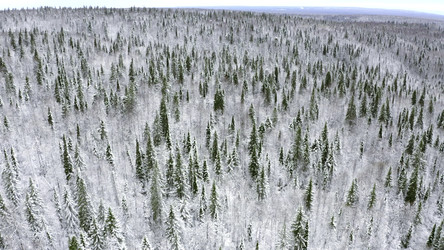 Similar image 22407794