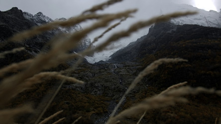 Similar image 22407823